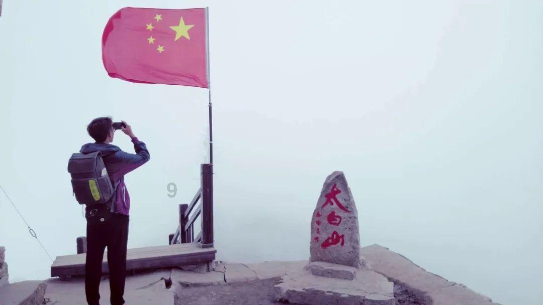虫虫助手下载